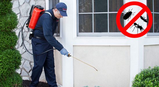 Büyükorhan Fare İlaçlama böcek ilaçlama ve haşere kontrolü — ilaclama-tr.com